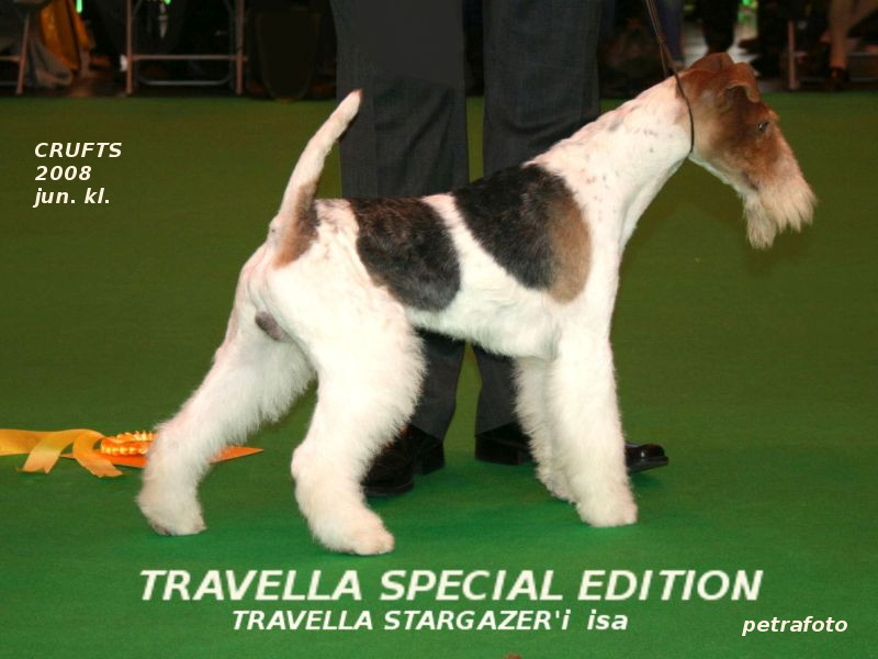 Travella Special Edition