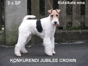 Konkurendi Jubilee Crown