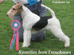 Roosifox Iron Frenchman